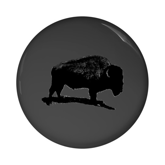 Discover Black & White Buffalo Pin Buttons