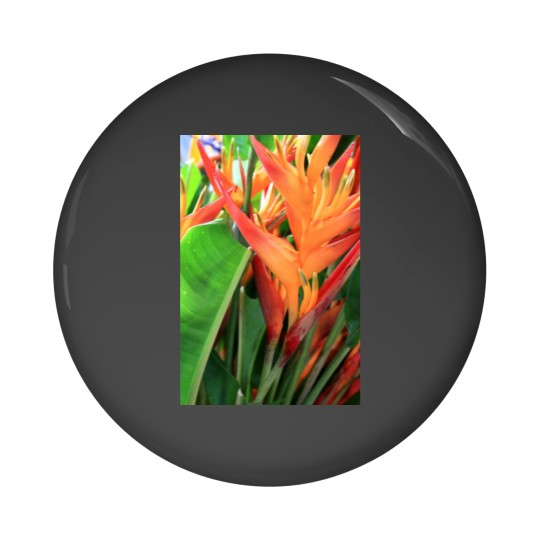Discover Brilliant Tropical Heliconia Florals Pin Buttons