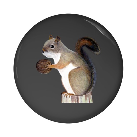 Discover Squirrel Sweat Pin Buttons