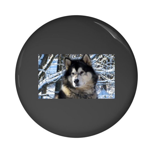 Discover Loup's first snowfall 2012 Pin Buttons