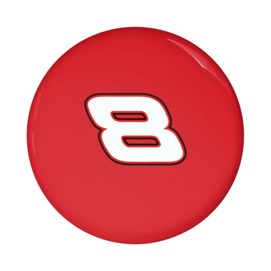Discover 8 Dale Earnhardt Jr. Pin Buttons