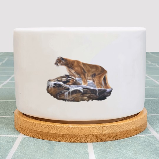 Discover Mountain Lion Cougar Plant Pots