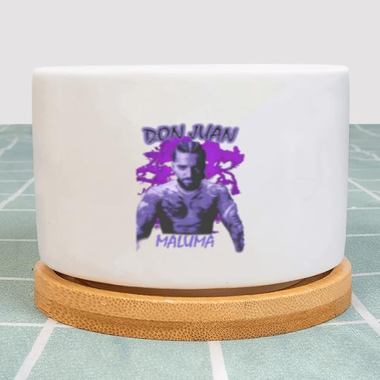 Discover Don Juan Maluma Plant Pots