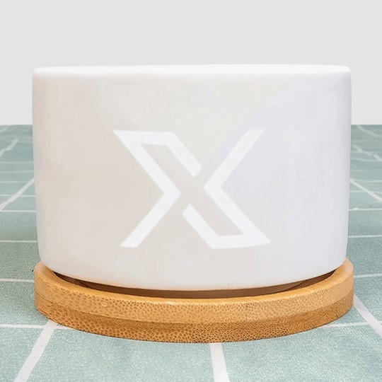 Discover NEXA Mortgage - Nexa X Plant Pots