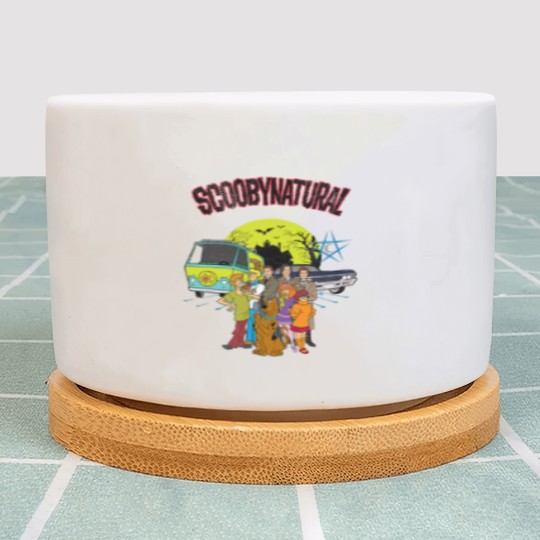 Discover ScoobyDoo Scoobynatural Mystery Machine and Baby with Gang Plant Pots