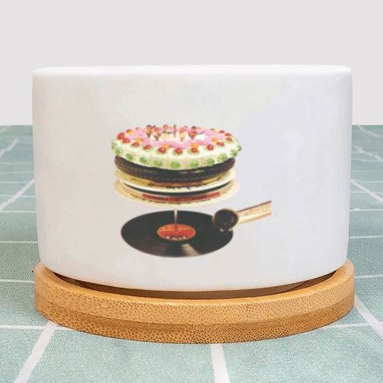 Discover Let It Bleed Plant Pots
