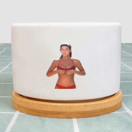 Discover Phoebe Cates  Red Bikini  Ridgemont High Plant Pots