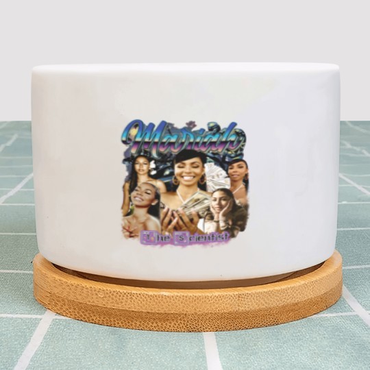 Discover Vintage Mariah the Scientist Plant Pots, Mariah the Scientist