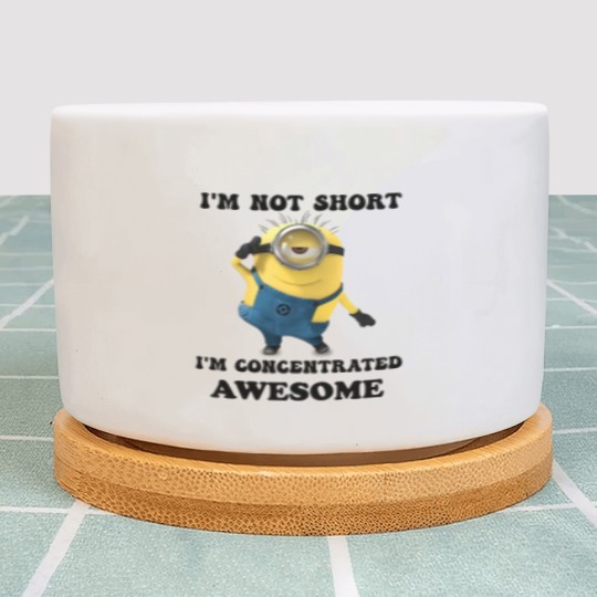 Discover Minions I'm Not Short I'm Concentrated Awesome The Rise of Gru Graphic Plant Pots