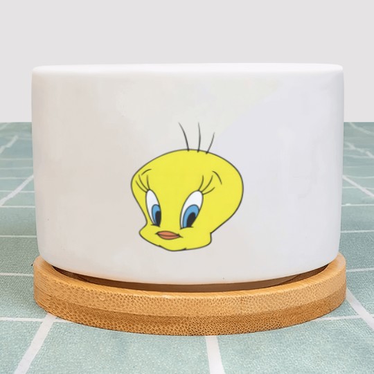 Discover Tweety Bird  gender neutral short sleeved Plant Pots