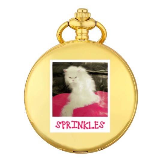 Discover Sprinkles the Cat - The Office - Pocket Watches