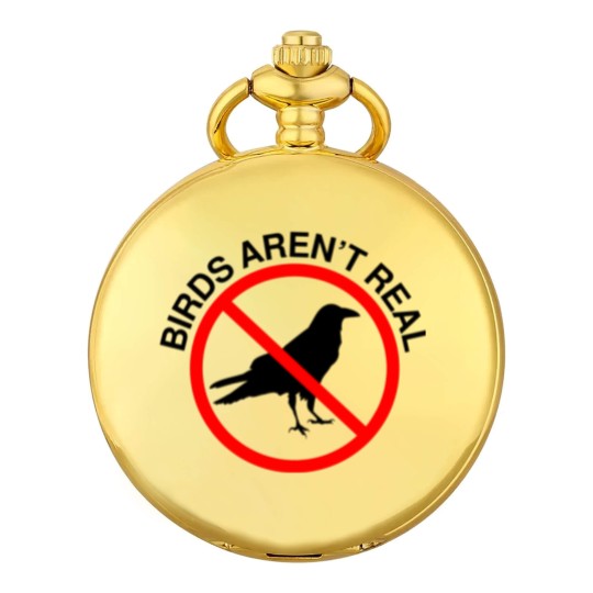 Discover Birds Aren't Real Prohibited Sign Premium Pocket Watches