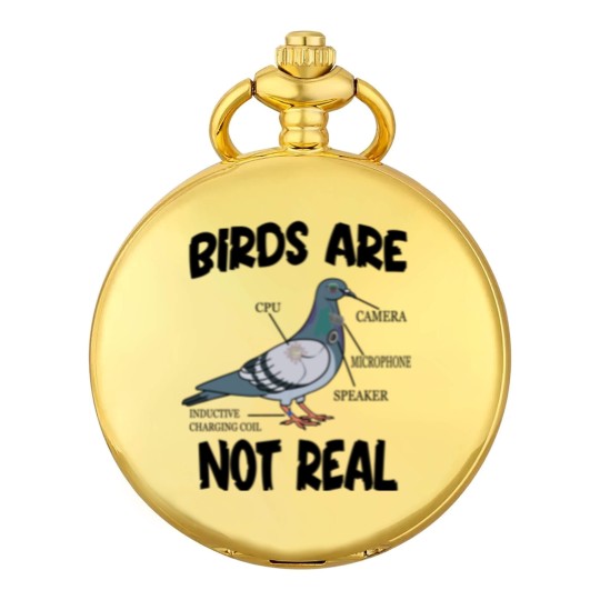 Discover Birds Are Not Real Bird Spies Conspiracy Theory Birds Pocket Watches