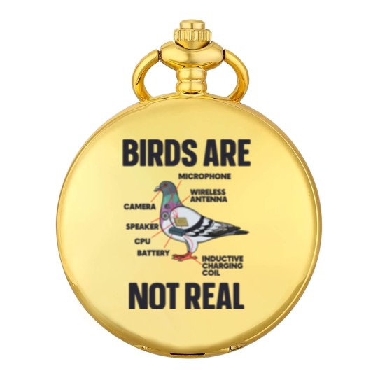 Discover Birds Are Not Real Pocket Watches