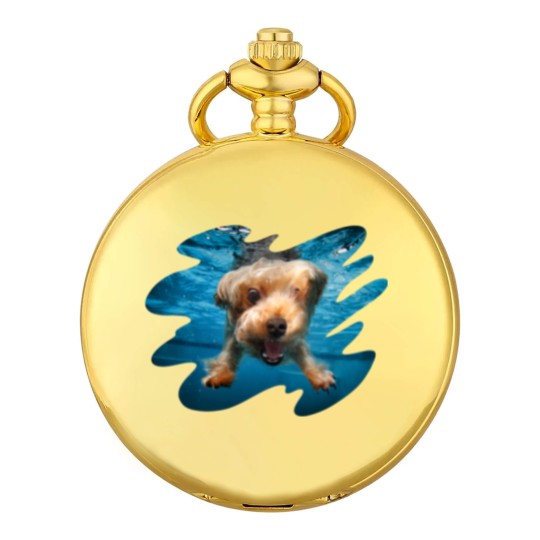 Discover Underwater Dogs Brady by Seth Casteel Pocket Watches