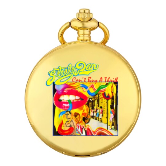 Discover Retro Steely Distressed Arts Dan Rock Music For Fan Pocket Watches