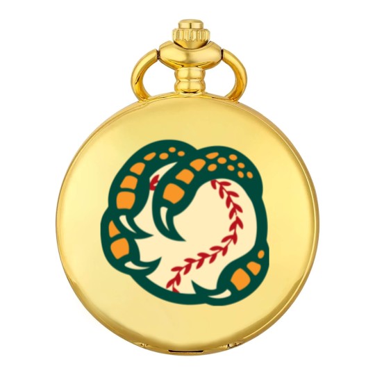 Discover Boise Hawks Pocket Watches