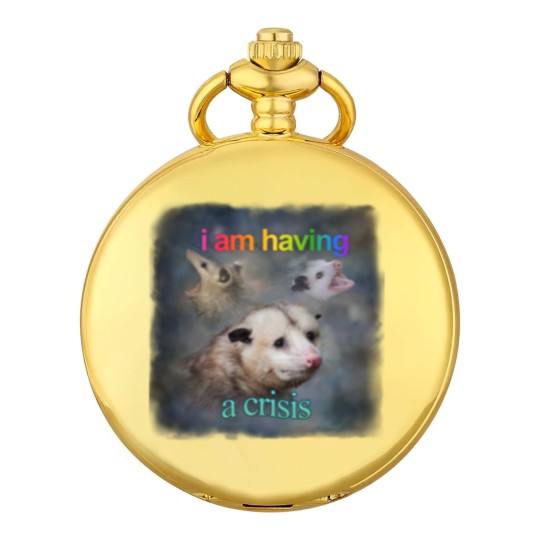 Discover I am having a crisis possum word art Classic Pocket Watches