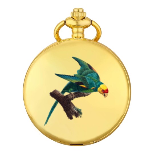 Discover Carolina parakeet Pocket Watches