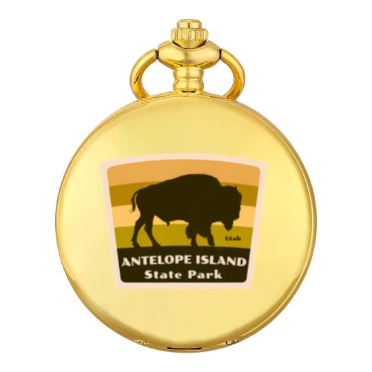 Discover antelope island state park utah bison herd souvenir Pocket Watches