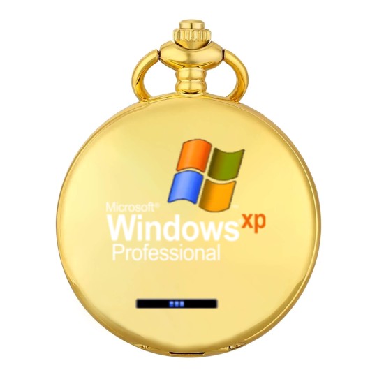 Discover Windows XP Pocket Watches