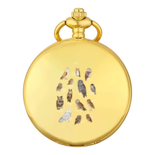 Discover Owls Pocket Watches
