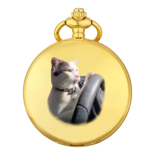 Discover Cat Driving A Car Instagram Katze Pocket Watches