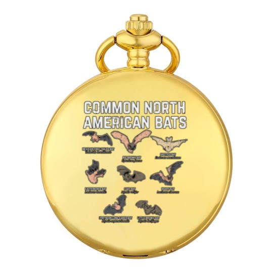 Discover Common North American Bats Pocket Watches
