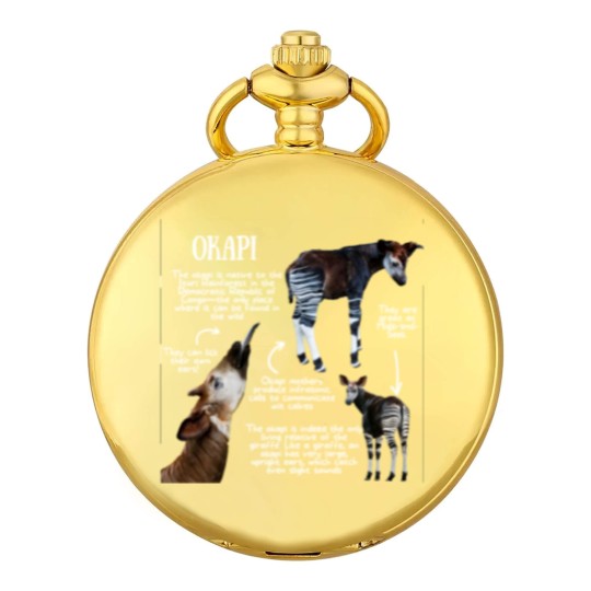 Discover Animal Facts - Okapi - Okapi - Pocket Watches