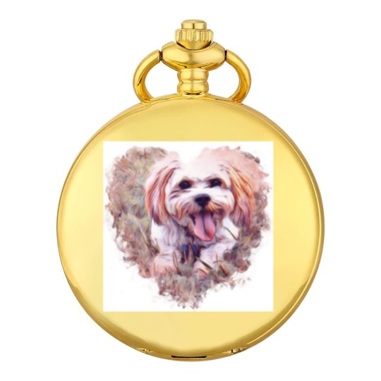 Discover Riley the Cavachon Pocket Watches