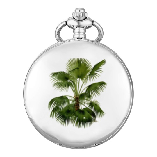Discover Palm Tree Botanical Illustration Pocket Watches