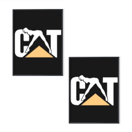 Discover Cat With Woman Lady Cat Unisex Poster Set