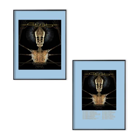 Discover Tool 2024 Concert Poster Set