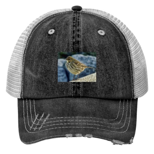 Discover The Finnmarken at Dusk in Tromso Print Trucker Hats