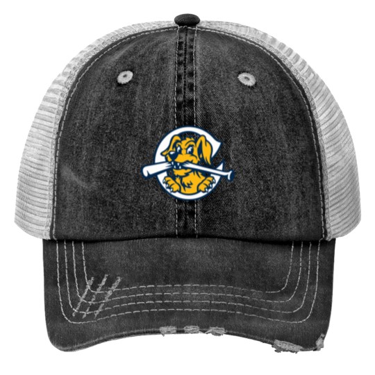 Discover Charleston RiverDogs Print Trucker Hats