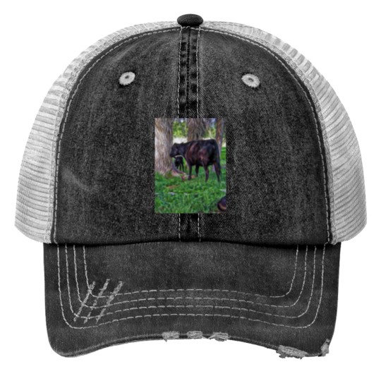 Discover Cow and Calf Unders Cottonwoods Print Trucker Hats