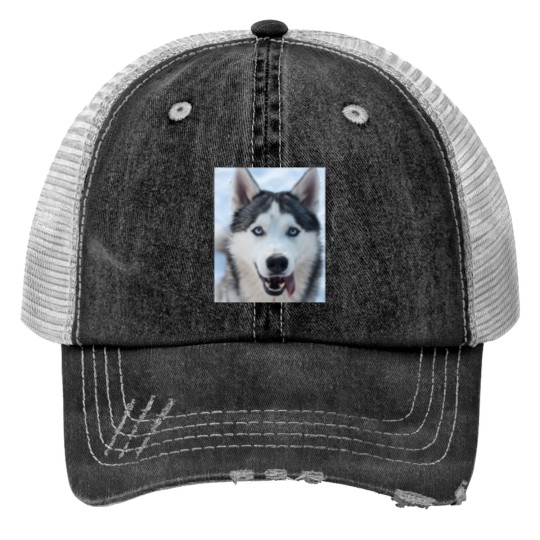 Discover funnys Looking Siberian Husky dogs Classic Print Trucker Hats