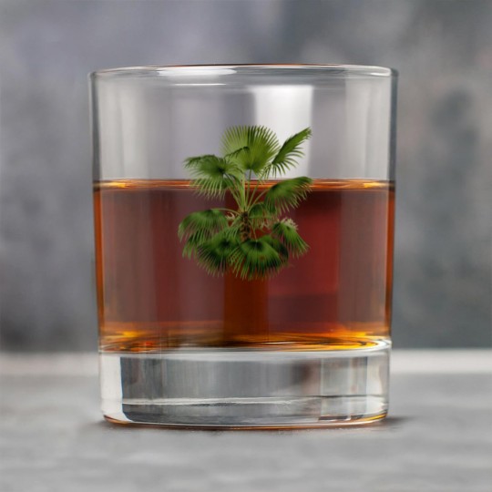 Discover Palm Tree Botanical Illustration Rock Glasses