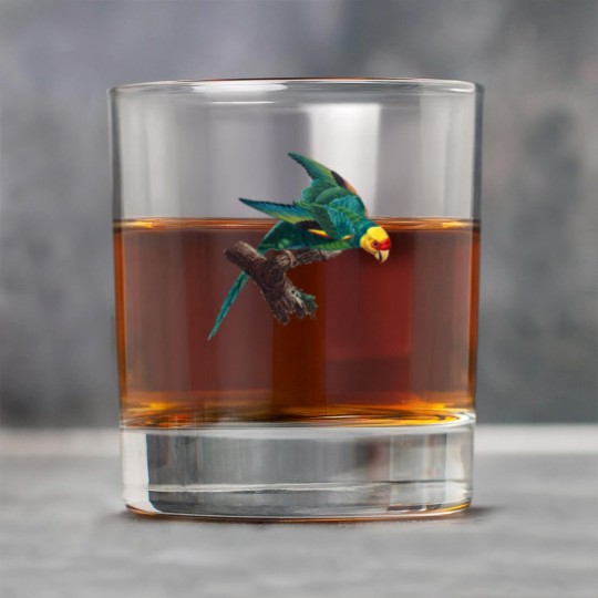 Discover Carolina parakeet Rock Glasses