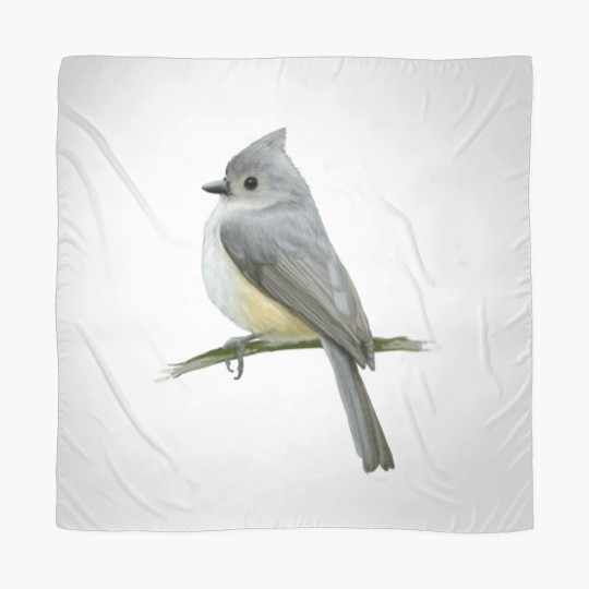 Discover cute bird Scarves
