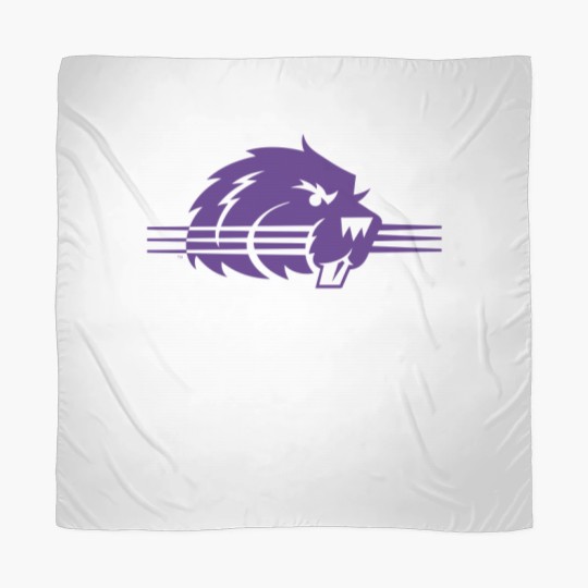 Discover College of Bluffton Beavers Athletic Scarves