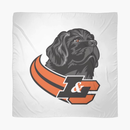 Discover Lewis & Clark College Pioneers Scarves