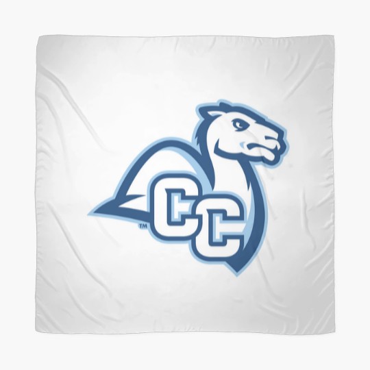 Discover Connecticut College camel athletics gifts souvenirs Scarves