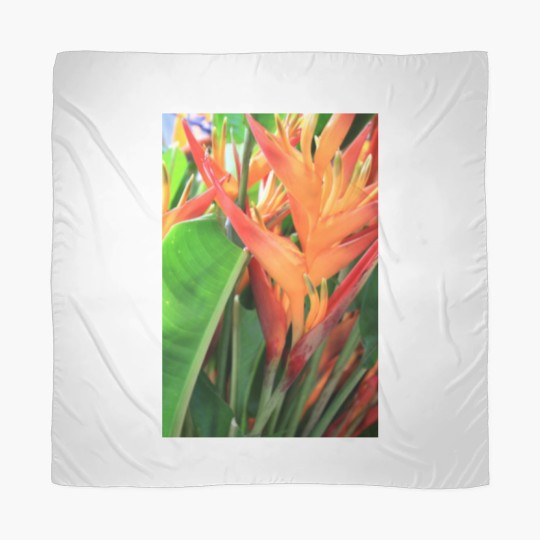 Discover Brilliant Tropical Heliconia Florals Scarves
