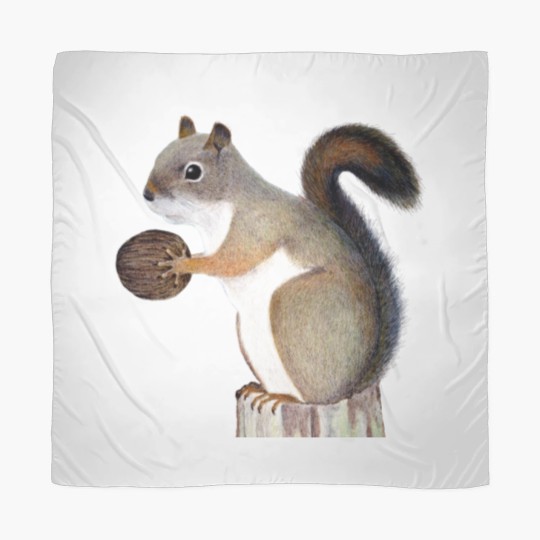 Discover Squirrel Sweat Scarves