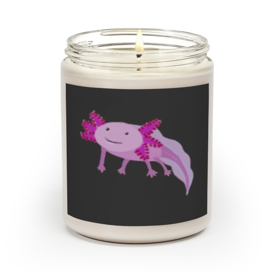 Discover Little Scented Candles