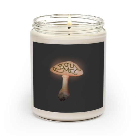 Discover melanie martinez portalss Scented Candles