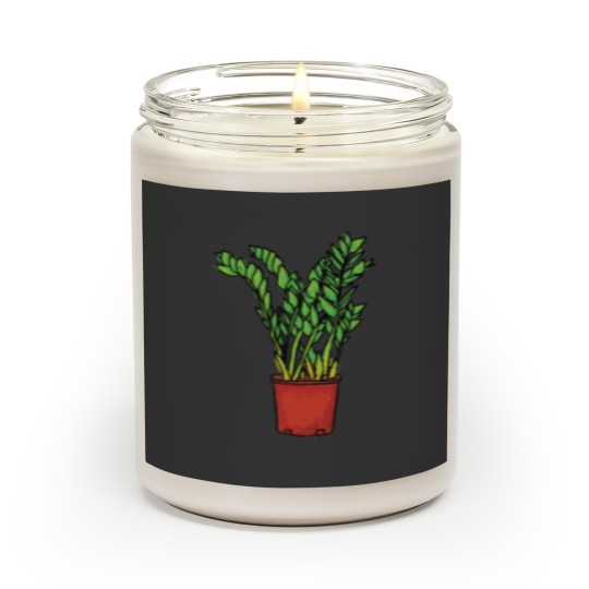 Discover ZZ Gem Zanibar Gem Plant Scented Candles