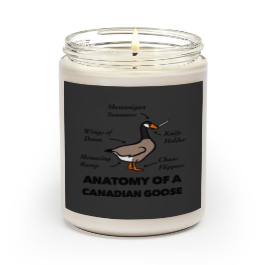 Discover Anatomy Of A Canadian Goose Scented Candles
