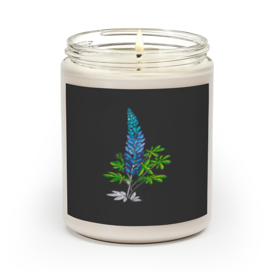 Discover Patagonian Lupines Scented Candles